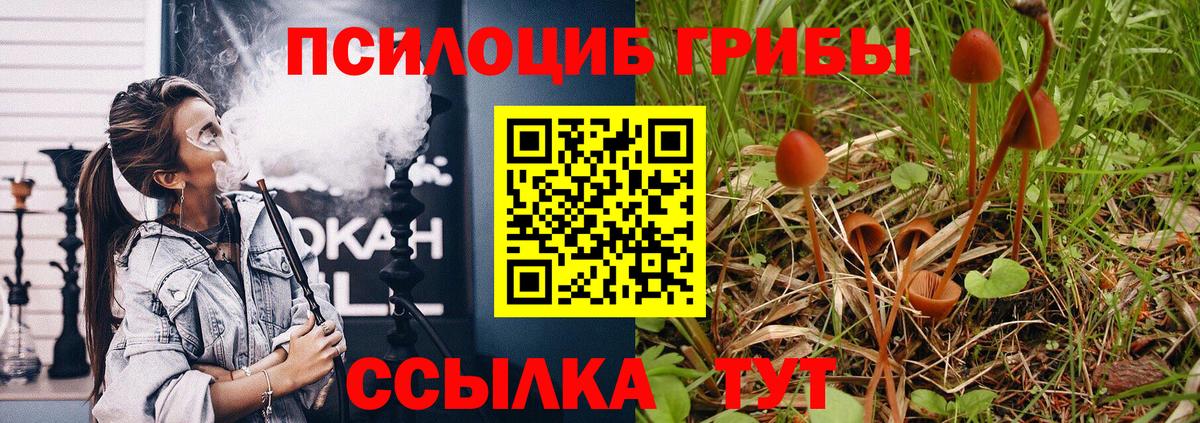 Псилоцибиновые грибы ЛСД Димитровград